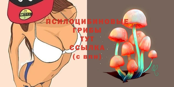 дмт Вязьма