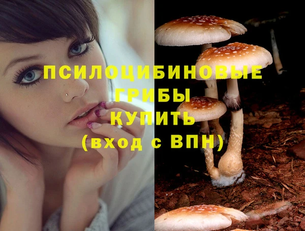 метамфетамин Липки