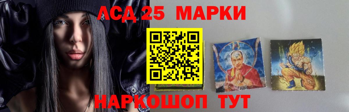 Галлюциногенные грибы Новотроицк