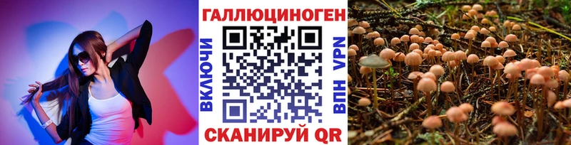 Псилоцибиновые грибы MAGIC MUSHROOMS  Новотроицк 