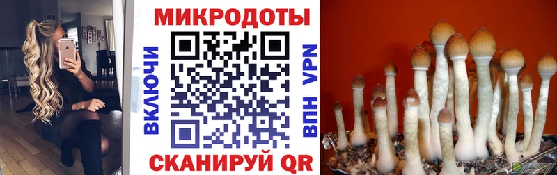 Псилоцибиновые грибы мухоморы Новотроицк