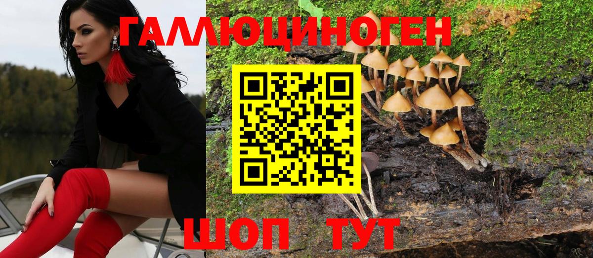 Галлюциногенные грибы MAGIC MUSHROOMS  Псилоцибиновые грибы Magic Shrooms  наркота  Новотроицк 