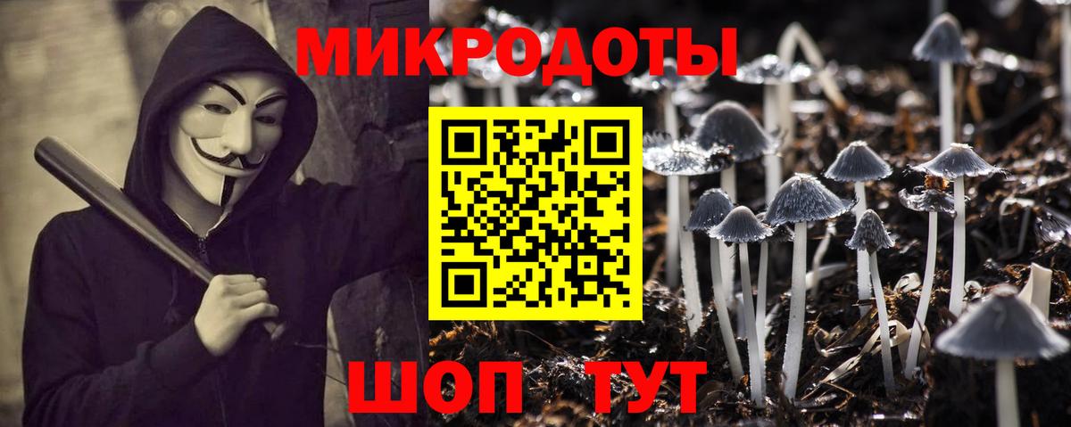 Галлюциногенные грибы Cubensis Новотроицк