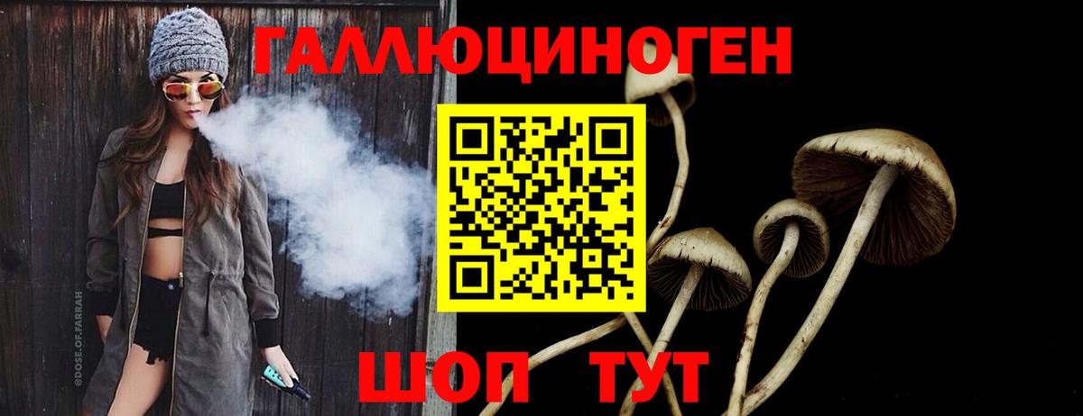 Галлюциногенные грибы GOLDEN TEACHER  Вход с VPN  Новотроицк 