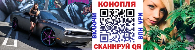 где найти наркотики  Новотроицк  Бошки марихуана Amnesia 